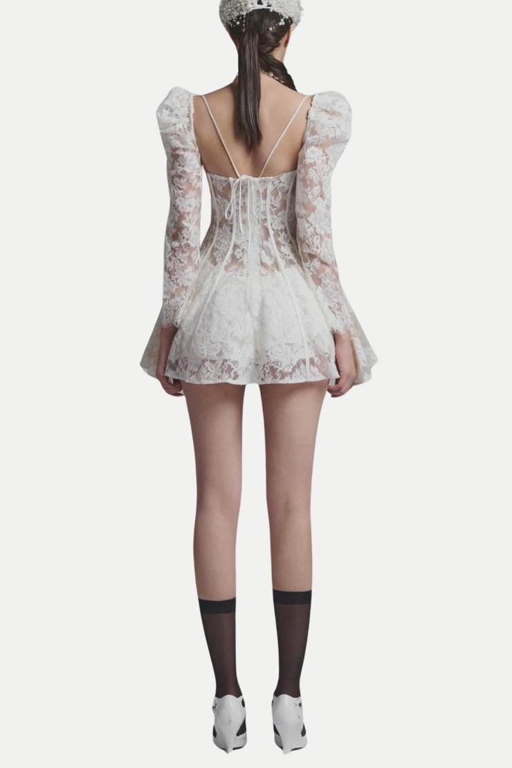 Caitlyn Lace Corset Mini Dress