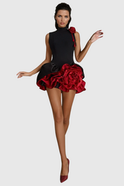 Cristiano Flower Appliqué Mini Dress