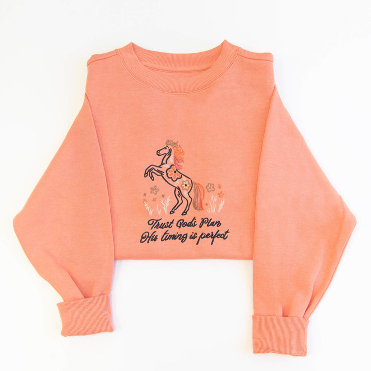 Trust God's Plan Embroidered Crewneck Sweatshirt