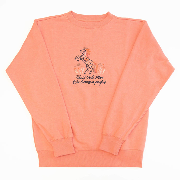 Trust God's Plan Embroidered Crewneck Sweatshirt