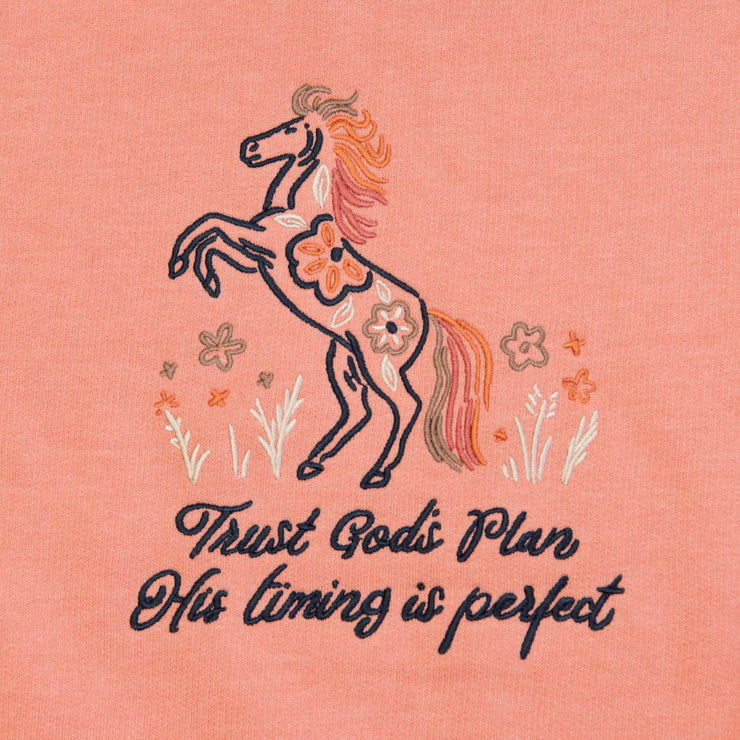 Trust God's Plan Embroidered Crewneck Sweatshirt