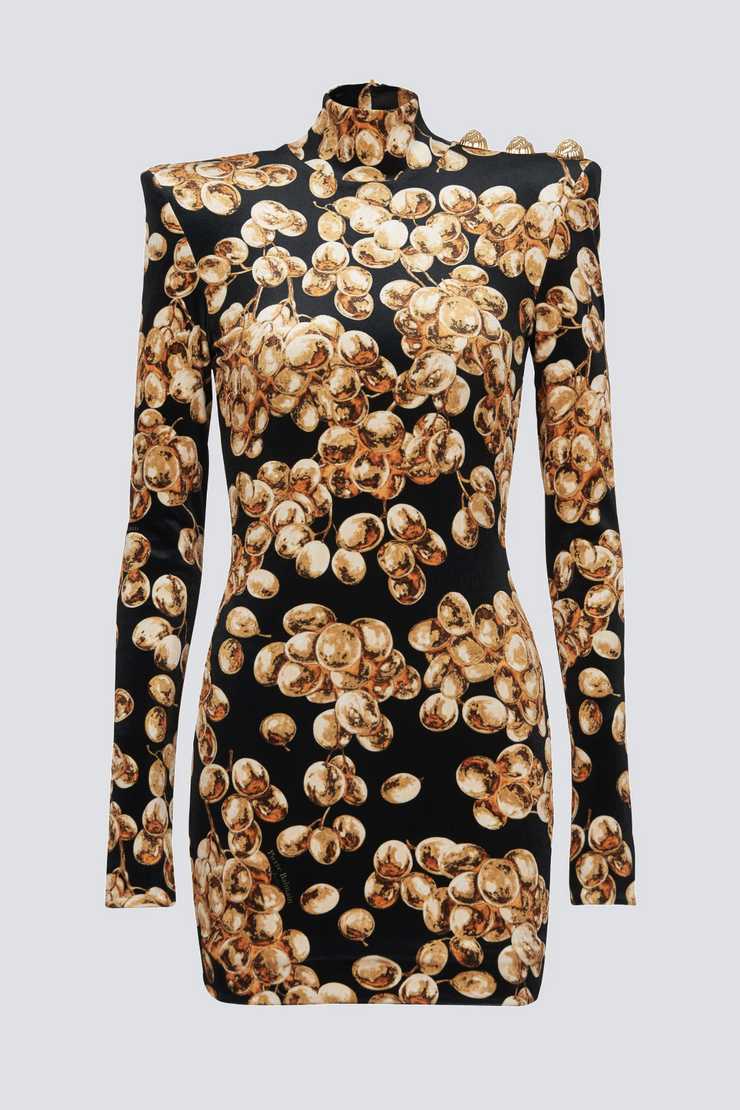 Enslo Grape Print Velvet Mini Dress